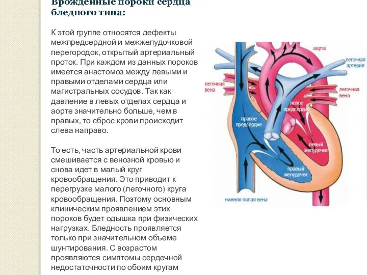 Врожденные пороки сердца бледного типа: К этой группе относятся дефекты межпредсердной и