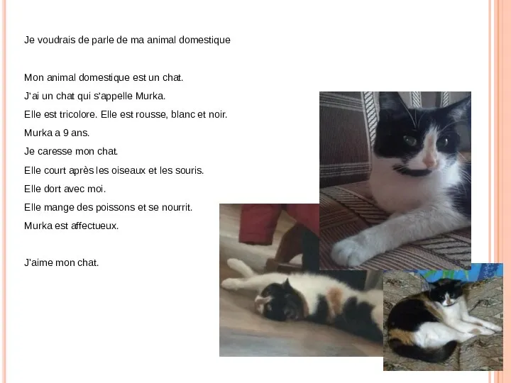 Je voudrais de parle de ma animal domestique Mon animal domestique est