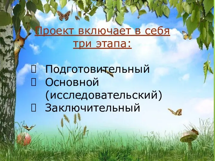 Проект включает в себя три этапа: Подготовительный Основной (исследовательский) Заключительный