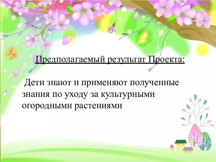 Предполагаемый результат Проекта: Дети знают и применяют полученные знания по уходу за культурными огородными растениями