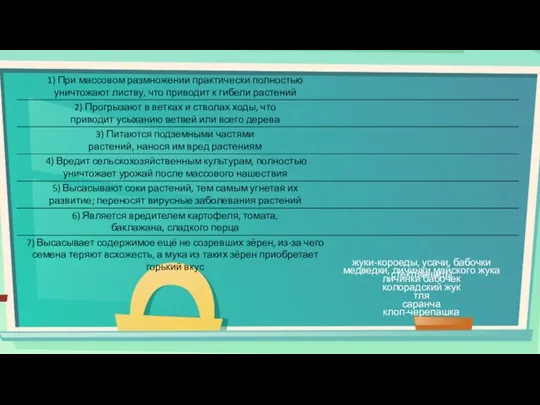 1) При массовом размножении практически полностью уничтожают листву, что приводит к гибели