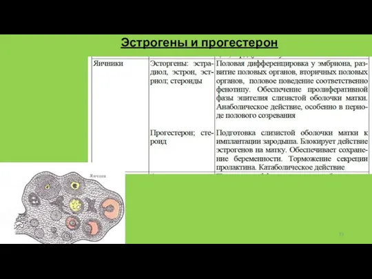 Эстрогены и прогестерон