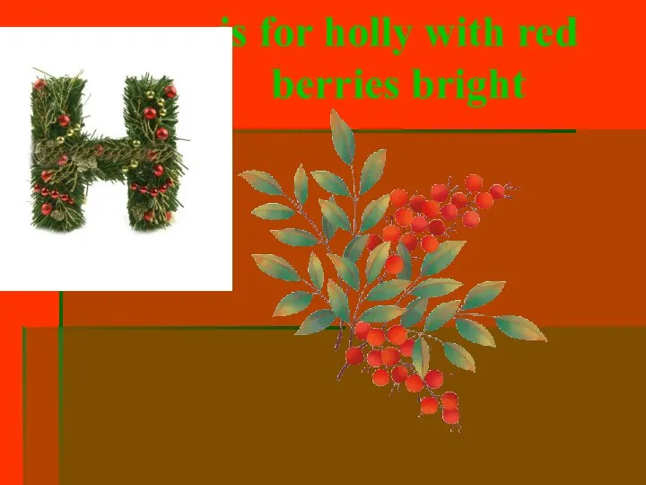is for holly with red berries bright