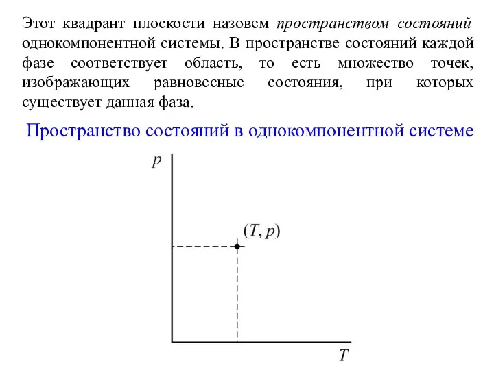 Этот квадрант плоскости назовем пространством состояний однокомпонентной системы. В пространстве состояний каждой