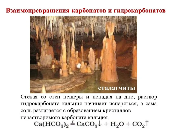 Взаимопревращения карбонатов и гидрокарбонатов Стекая со стен пещеры и попадая на дно,