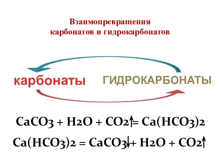 карбонаты ГИДРОКАРБОНАТЫ Взаимопревращения карбонатов и гидрокарбонатов
