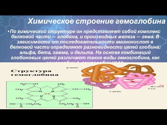 Химическое строение гемоглобина По химической структуре он представляет собой комплекс белковой части