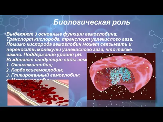 Биологическая роль Выделяют 3 основные функции гемоглобина: Транспорт кислорода; транспорт углекислого газа.