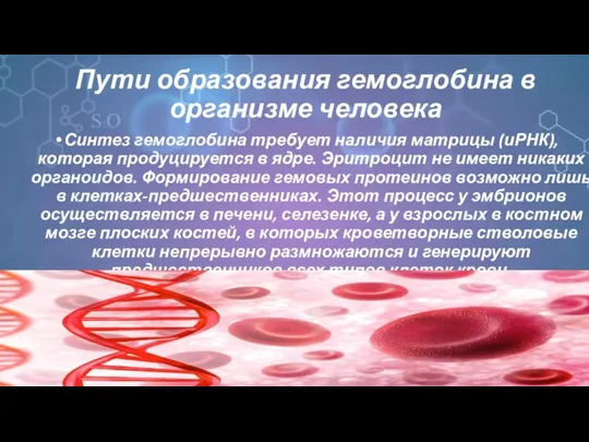 Пути образования гемоглобина в организме человека Синтез гемоглобина требует наличия матрицы (иРНК),