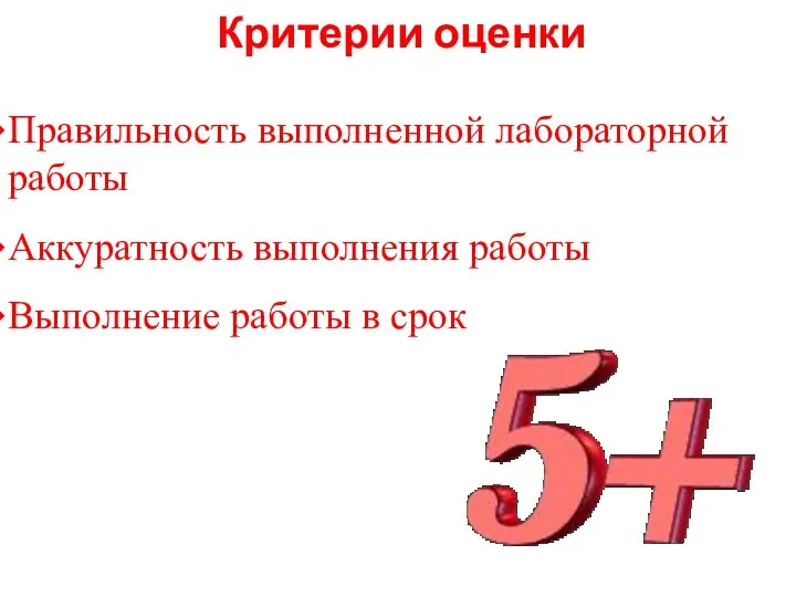 Критерии оценки Правильность выполненной лабораторной работы Аккуратность выполнения работы Выполнение работы в срок