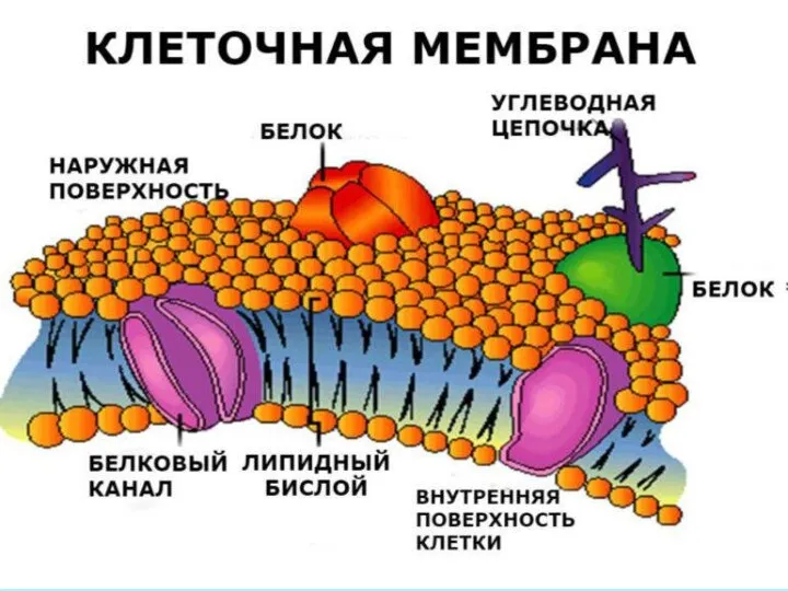 Так как в воде могут растворяться разнообразные вещества, очень большой плюс —