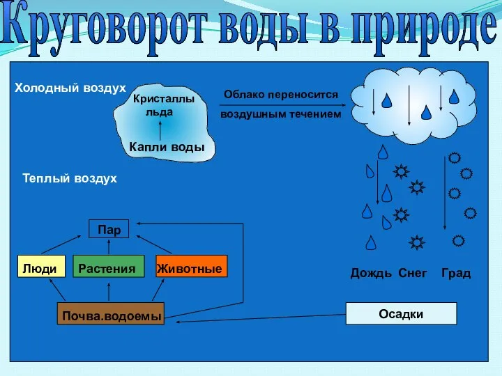 Холодный воздух Теплый воздух Пар Кристаллы льда Капли воды Облако переносится воздушным