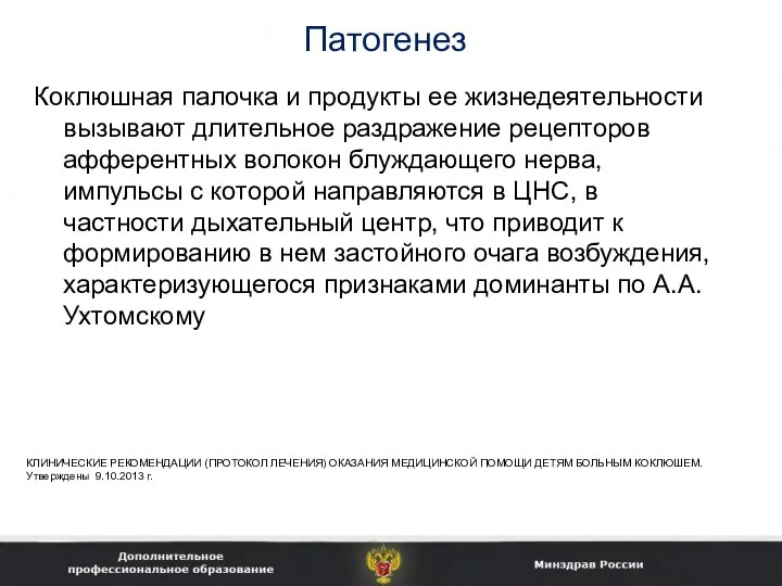 Патогенез Коклюшная палочка и продукты ее жизнедеятельности вызывают длительное раздражение рецепторов афферентных