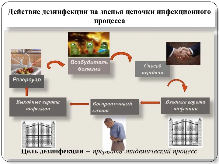 Цель дезинфекции – прервать эпидемический процесс Действие дезинфекции на звенья цепочки инфекционного