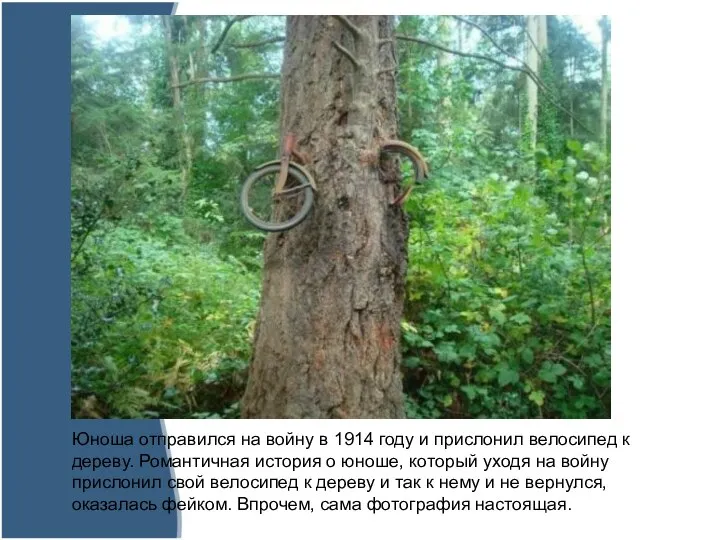 Юноша отправился на войну в 1914 году и прислонил велосипед к дереву.