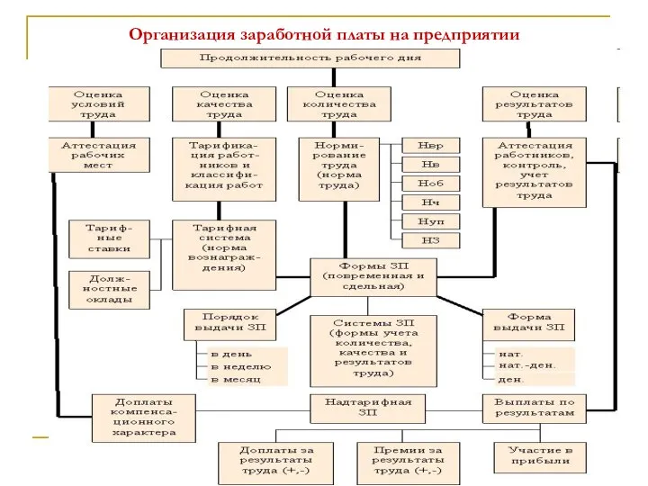 Организация заработной платы на предприятии