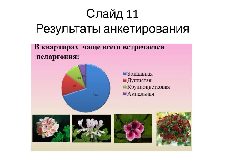 Слайд 11 Результаты анкетирования