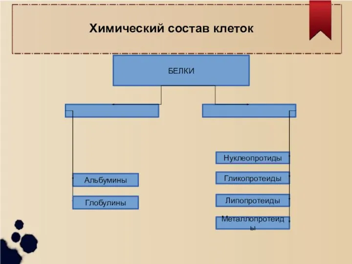 БЕЛКИ Альбумины Нуклеопротиды Гликопротеиды Глобулины Липопротеиды Металлопротеиды Химический состав клеток