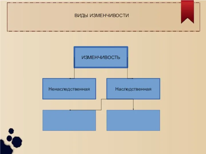 ИЗМЕНЧИВОСТЬ Наследственная Ненаследственная ВИДЫ ИЗМЕНЧИВОСТИ