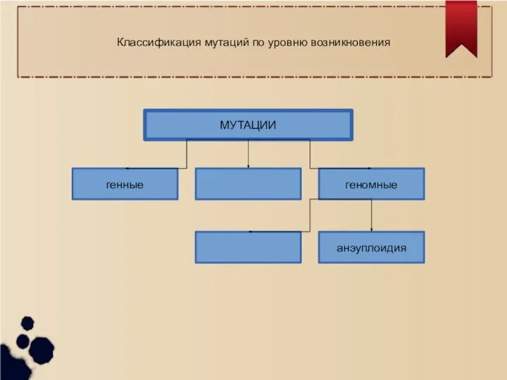 МУТАЦИИ геномные генные анэуплоидия Классификация мутаций по уровню возникновения