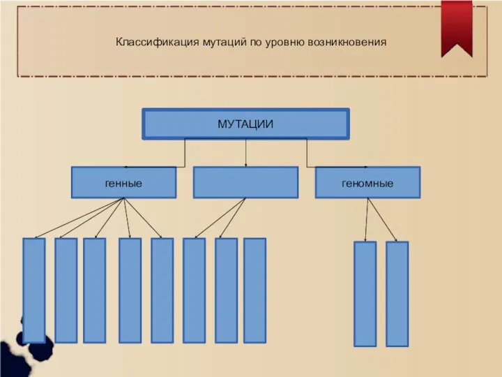 МУТАЦИИ геномные генные Классификация мутаций по уровню возникновения