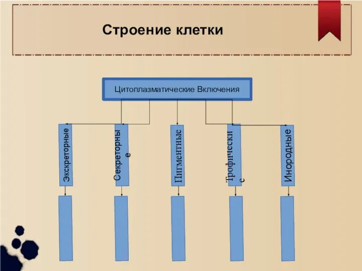 МУТАЦИИ МУТАЦИИ Цитоплазматические Включения Трофические Инородные Пигментные Экскреторные Секреторные Строение клетки