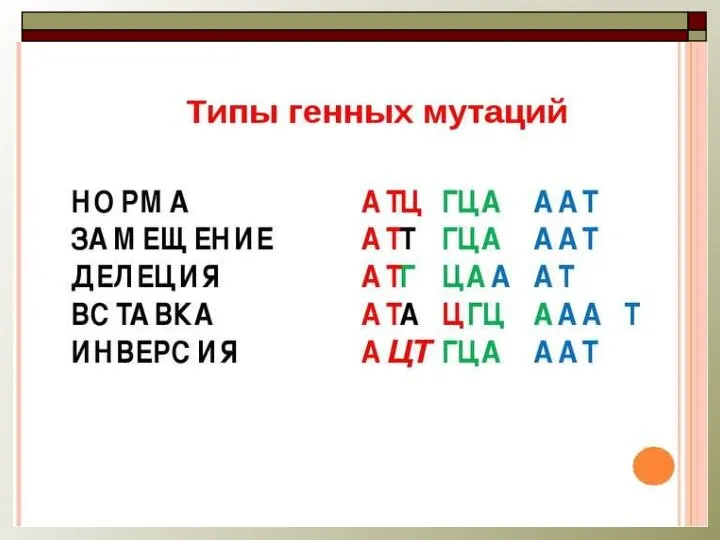 Типы мутаций 1. Генные Изменение расположения нуклеотидов в молекуле ДНК Выпадение одного