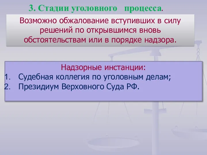 Надзорные инстанции: Судебная коллегия по уголовным делам; Президиум Верховного Суда РФ. Возможно