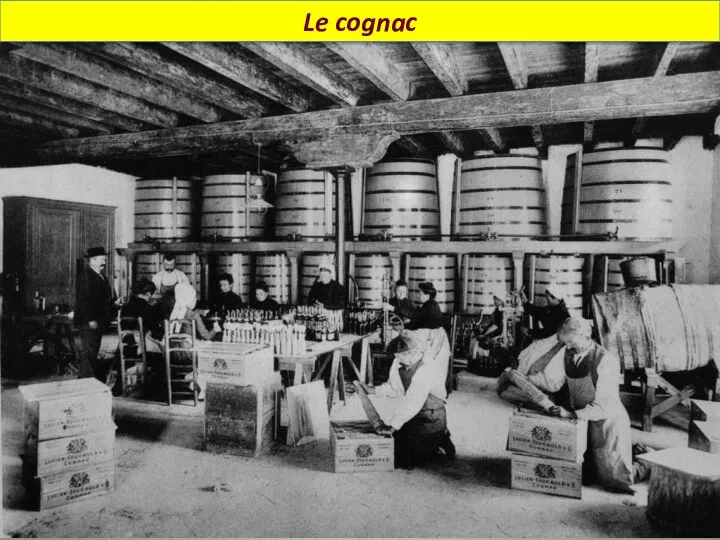 Le cognac