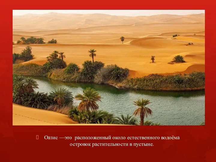Оазис —это расположенный около естественного водоёма островок растительности в пустыне.
