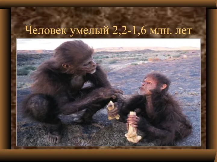 Человек умелый 2,2-1,6 млн. лет