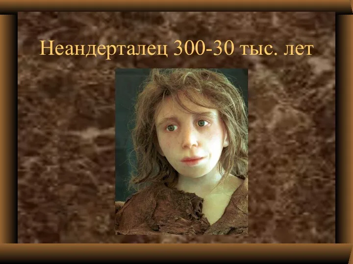 Неандерталец 300-30 тыс. лет