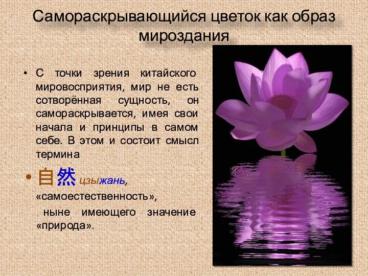Самораскрывающийся цветок как образ мироздания С точки зрения китайского мировосприятия, мир не
