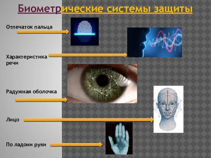 Биометрические системы защиты Отпечаток пальца Характеристика речи Радужная оболочка Лицо По ладони руки