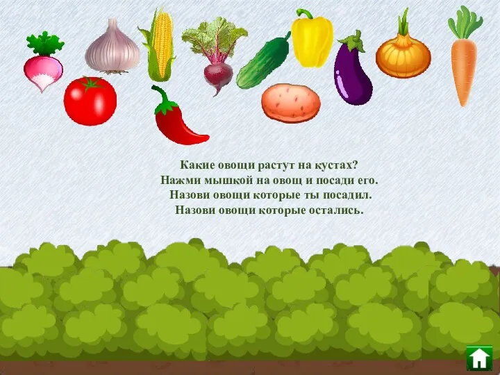 Какие овощи растут на кустах? Нажми мышкой на овощ и посади его.