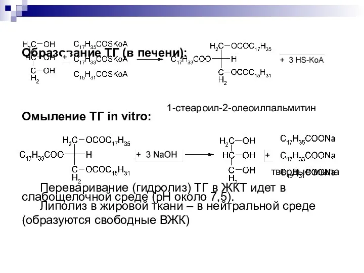 Образование ТГ (в печени): 1-стеароил-2-олеоилпальмитин Омыление ТГ in vitro: твердые мыла Переваривание