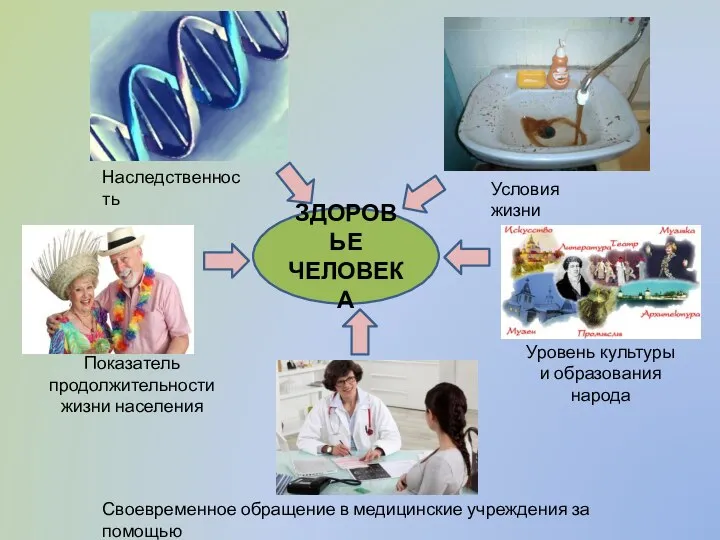 ЗДОРОВЬЕ ЧЕЛОВЕКА Наследственность Условия жизни Своевременное обращение в медицинские учреждения за помощью