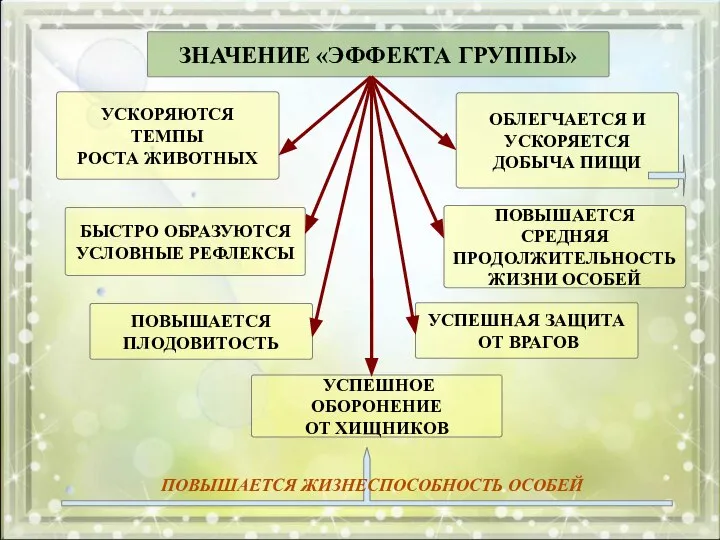 ЗНАЧЕНИЕ «ЭФФЕКТА ГРУППЫ» УСКОРЯЮТСЯ ТЕМПЫ РОСТА ЖИВОТНЫХ БЫСТРО ОБРАЗУЮТСЯ УСЛОВНЫЕ РЕФЛЕКСЫ ПОВЫШАЕТСЯ