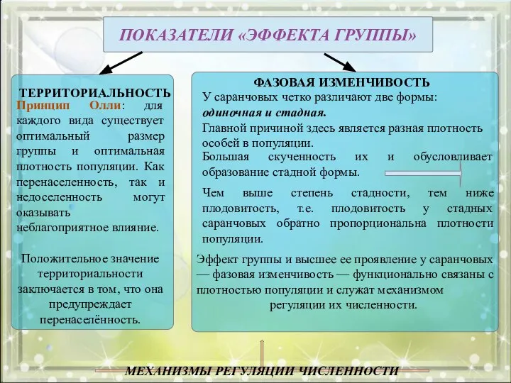 ПОКАЗАТЕЛИ «ЭФФЕКТА ГРУППЫ» Принцип Олли: для каждого вида существует оптимальный размер группы