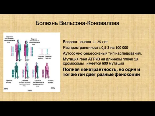 Болезнь Вильсона-Коновалова Возраст начала 11-25 лет Распространенность 0,5-3 на 100 000 Аутосомно-рецессивный