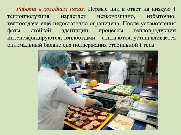 Работа в холодных цехах. Первые дни в ответ на низкую t теплопродукция