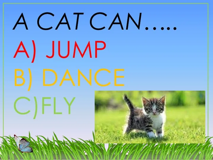 A CAT CAN….. A) JUMP B) DANCE C)FLY
