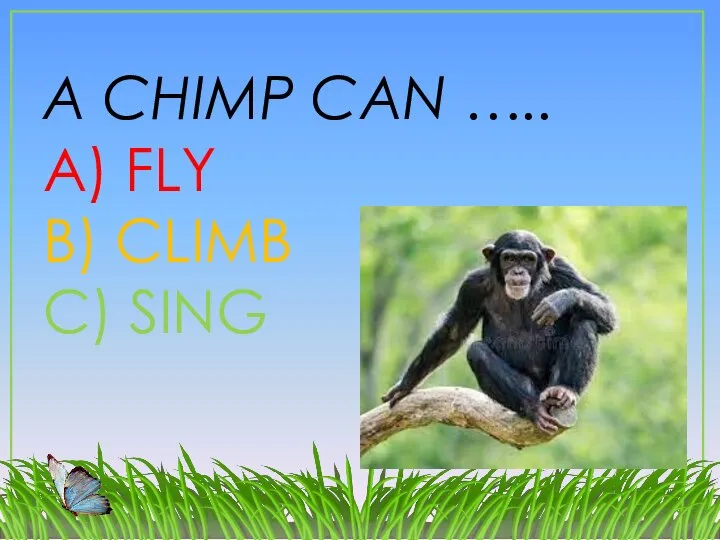 A CHIMP CAN ….. A) FLY B) CLIMB C) SING