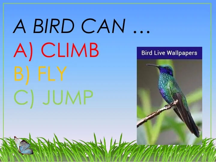 A BIRD CAN … A) CLIMB B) FLY C) JUMP