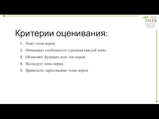 Критерии оценивания: Знает зоны корня. Описывает особенности строения каждой зоны. Объясняет функции