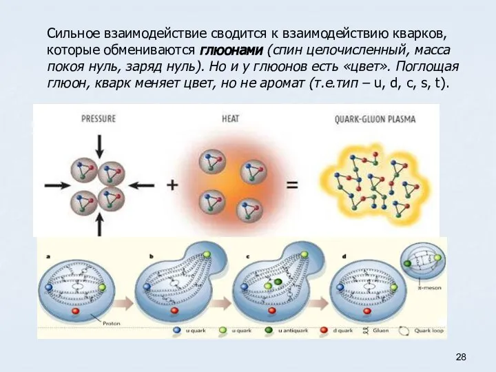 Сильное взаимодействие сводится к взаимодействию кварков, которые обмениваются глюонами (спин целочисленный, масса