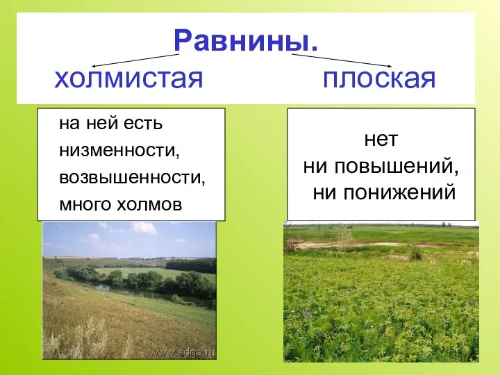 Равнины. холмистая плоская на ней есть низменности, возвышенности, много холмов нет ни повышений, ни понижений