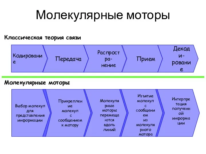 Кодирование Передача Распростра- нение Прием Декоди- рование Классическая теория связи Молекулярные моторы