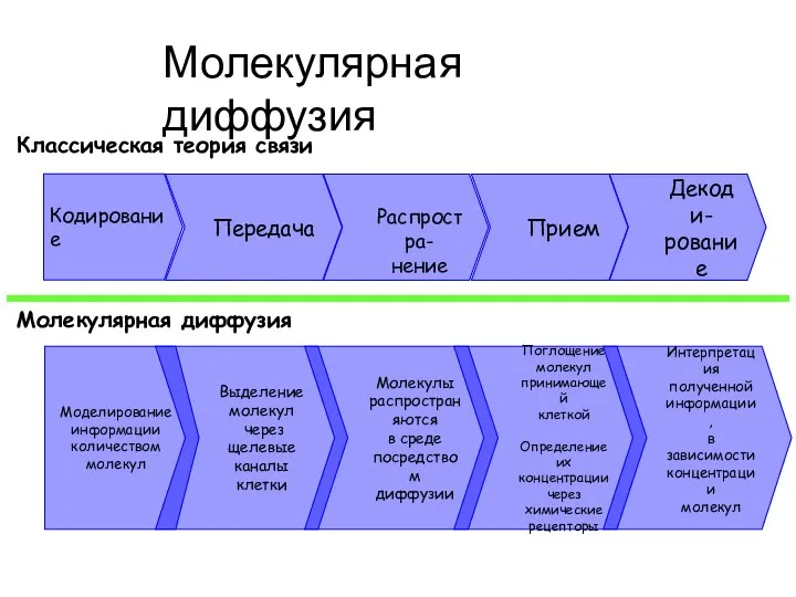 Кодирование Передача Распростра- нение Прием Декоди- рование Классическая теория связи Молекулярная диффузия