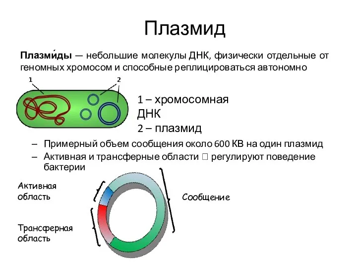 Примерный объем сообщения около 600 КВ на один плазмид Активная и трансферные